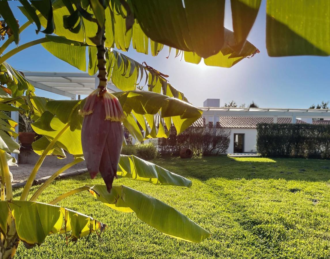Herdade Do Kuanza ザンブジェイラ・ド・マール エクステリア 写真