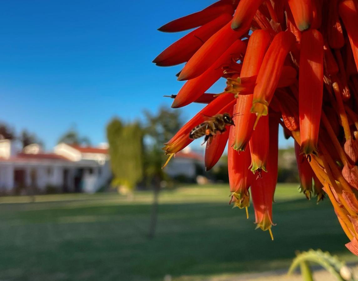 Herdade Do Kuanza ザンブジェイラ・ド・マール エクステリア 写真